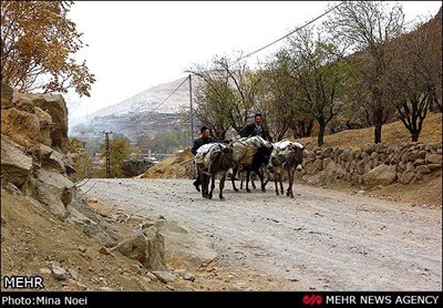 مراغه-روستای-صومعه-88110