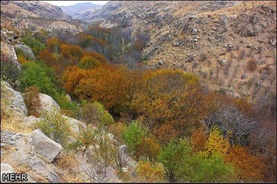 مراغه-روستای-صومعه-88104