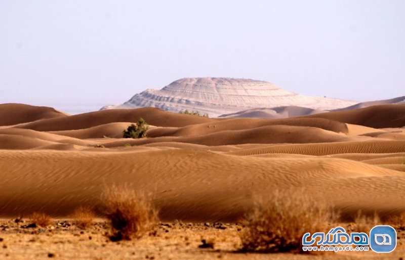 کویر مصر