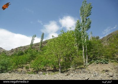 نیشابور-آبشار-گرینه-89209