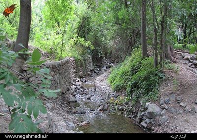 نیشابور-آبشار-گرینه-89210