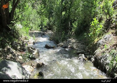 نیشابور-آبشار-گرینه-89218
