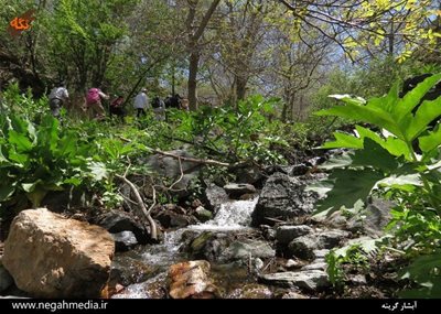 نیشابور-آبشار-گرینه-89212