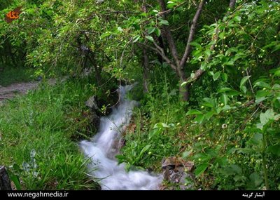 نیشابور-آبشار-گرینه-89214