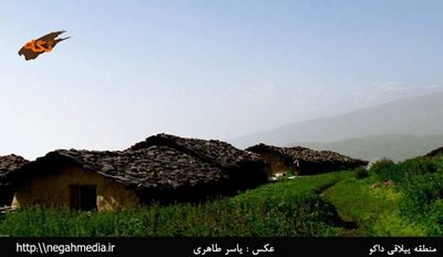 نشتارود-منطقه-ییلاقی-داکو-89243