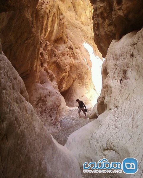 دره سنگاب بیشه در