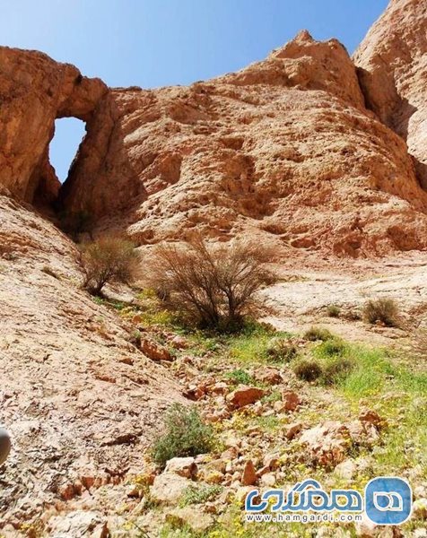 دره سنگاب بیشه در