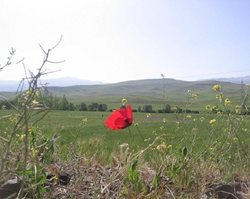 روستای سلوط