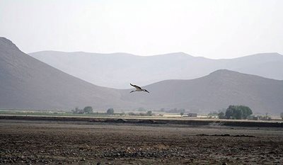 ملایر-تالاب-آق-گل-اسلامشهر-90511
