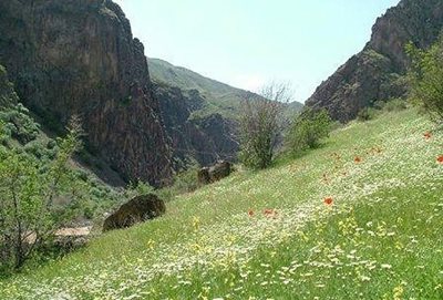 گیوی-منطقه-شکار-ممنوع-دربند-مشکول-90994