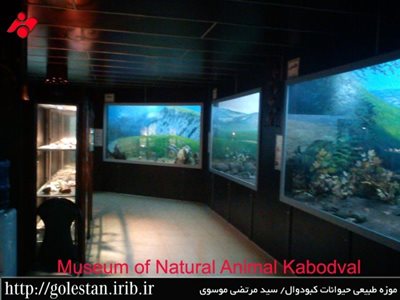علی-آباد-کتول-موزه-تاریخ-طبیعی-کبودوال-91956