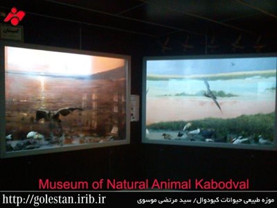 علی-آباد-کتول-موزه-تاریخ-طبیعی-کبودوال-91961