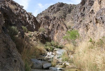 کاشمر-منطقه-شکار-ممنوع-سید-مرتضی-92138