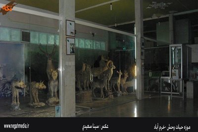 خرم-آباد-موزه-حیات-وحش-لرستان-92457