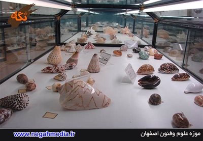 اصفهان-موزه-علوم-و-فنون-92833