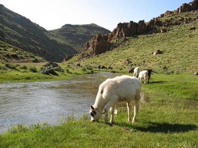 روستای بریس