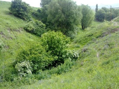 روستای بوسجین