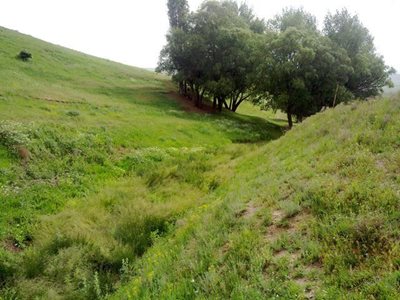 کورائیم-روستای-بوسجین-95713