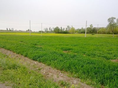 کورائیم-روستای-بوسجین-95715