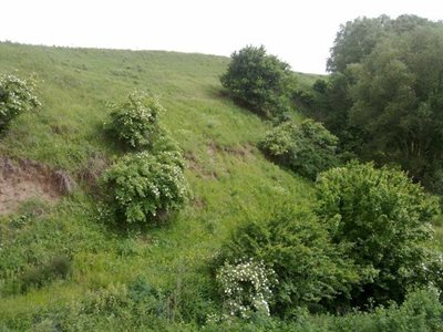 کورائیم-روستای-بوسجین-95712