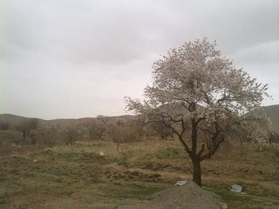 همدان-روستای-ارزان-فود-96793