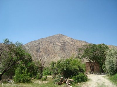 بم-منطقه-حفاظت-شده-کوه-شیر-96934