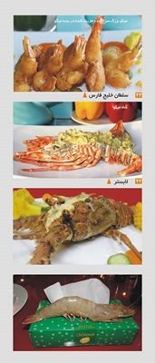 اهواز-رستوران-گردان-امپراطور-اهواز-97324