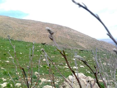 سمیرم-روستای-خینه-97774