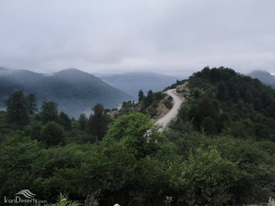 نور-منطقه-حفاظت-شده-واز-98411