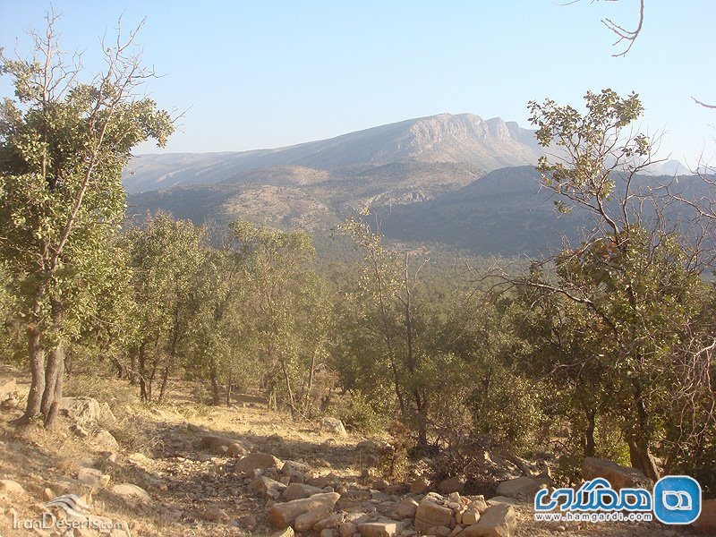 منطقه حفاظت شده ماله گاله