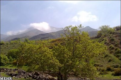 ارمغانخانه-منطقه-حفاظت-شده-سرخ-آباد-98990