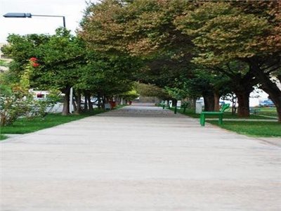 شیراز-هتل-جهانگردی-شیراز-99573