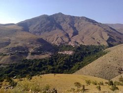 روستای انبوه