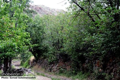 هیر-روستای-بقرآباد-اردبیل-101332