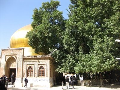 قزوین-امامزاده-علی-اصغر-ع-104177