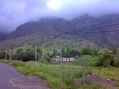 بدره-روستای-کلم-104479