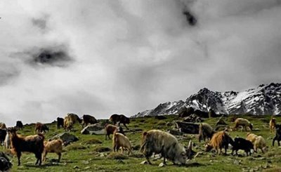 روستای الیت