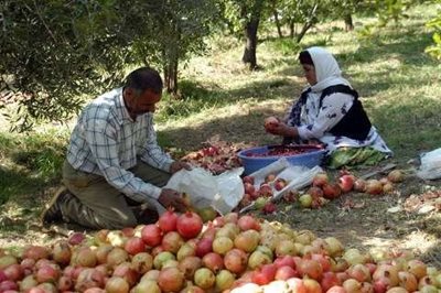 رودبار-روستای-انبوه-105070