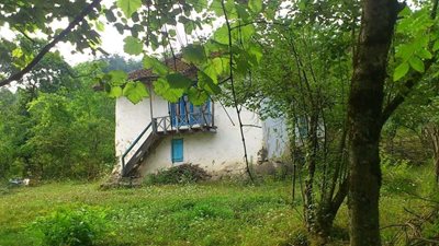 رودبار-روستای-انبوه-105146