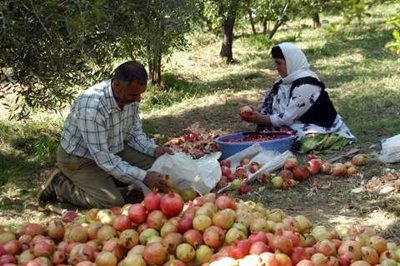 رودبار-روستای-انبوه-105070