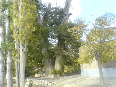تفرش-روستای-فسنگان-105559