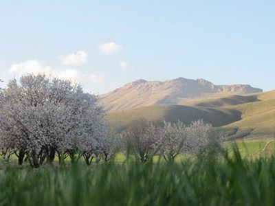 ساوه-روستای-آقداش-105970