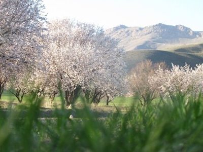 ساوه-روستای-آقداش-105969