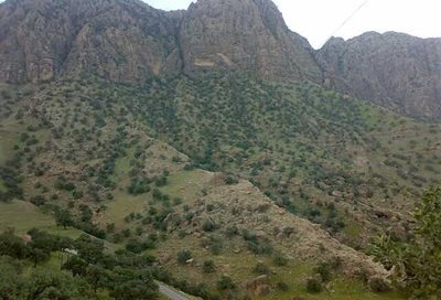 ایذه-روستای-کارتا-106116