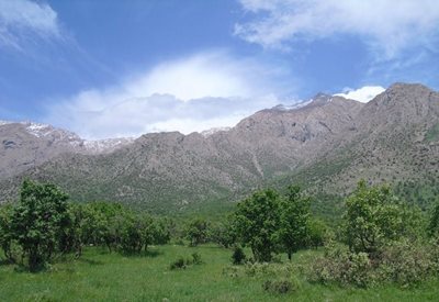 کامیاران-منطقه-حفاظت-شده-کوسالان-و-شاهو-106387