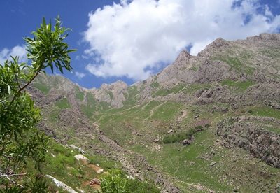 کامیاران-منطقه-حفاظت-شده-کوسالان-و-شاهو-106389