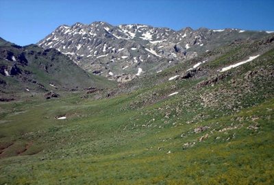کامیاران-منطقه-حفاظت-شده-کوسالان-و-شاهو-106390