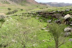 منطقه حفاظت شده هفت شهیدان