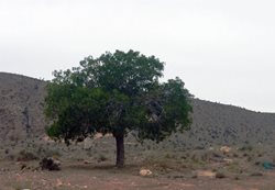 منطقه حفاظت شده هرمود لار
