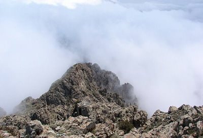 تبریز-پارک-ملی-کنتال-107275